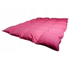 Pusiau pūkinė antklodė 220x200, 3kg