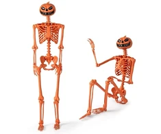 Skeletas 157.5 cm