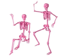 Skeletas 160.0 cm