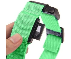 Šviečiantis LED antkaklis šunims ir katėms, 59 cm, žalias