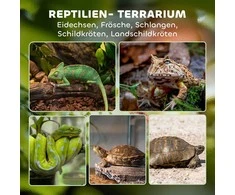 PawHut stiklinis terariumas ropliams, paaukštintas ir vandeniui atsparus dugnas, užraktas su rankenėle
