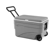 Termo dėžė 80l