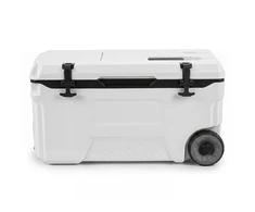 Termodėžė 50 l