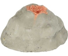 Nuotrauka Nr.2