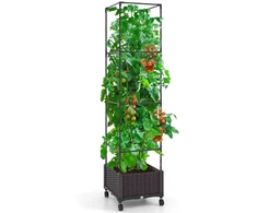 Vazonas su treliažu 170.2 cm