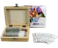 Deltaoptical Bendroji biologija 25 preparatai