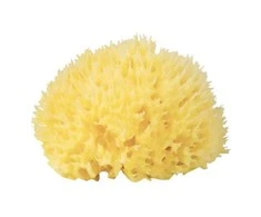 Babu® natūrali kempinė nr.12