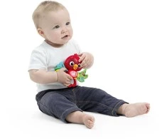 Baby Einstein Kūdikis Einšteinas – Roxy's Bright Flight™ muzikinis žaislas – (BE-16888)