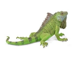 Collecta Figūrėlė Iguana (XL)