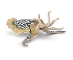 Collecta Figūrėlė - Paprastoji sepija