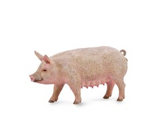 Nuotrauka Nr.1