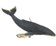 COLLECTA Kuprotasis banginis, (XL), 88347