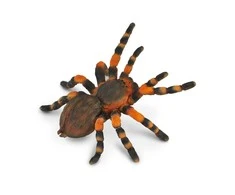 Collecta Figūrėlė Meksikos raudonkelis paukštėda (L)