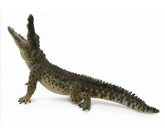 Collecta Figūrėlė Nilo krokodilas (XL)