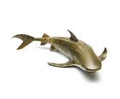 Collecta Figūrėlė Tigrinis ryklys (L)