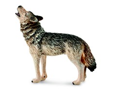 Collecta staugiantis paprastasis vilkas (M), 88844