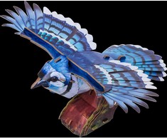 MAKEBUG 3D popierinė delionė Amerikinis mėlynasis kėkštas, MB-D-0056