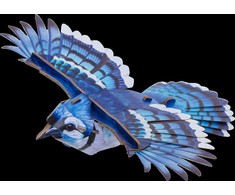 MAKEBUG 3D popierinė delionė Amerikinis mėlynasis kėkštas, MB-D-0056