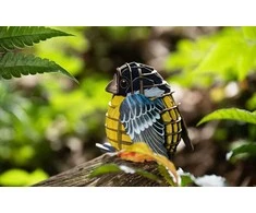 MAKEBUG 3D popierinė delionė Didysis baltasis ryklys, MB-B-0010