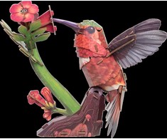 MAKEBUG 3D popierinė delionė Kolibris, MB-D-0058