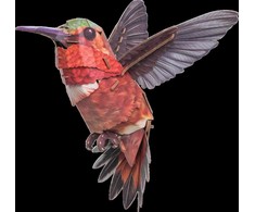 MAKEBUG 3D popierinė delionė Kolibris, MB-D-0058