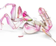 MAKEBUG 3D popierinė delionė Orchidėjinis maldininkas, MB-B-0003
