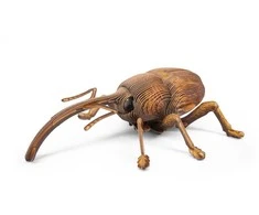 MAKEBUG 3D popierinė delionė Straubliukas, MB-B-0004