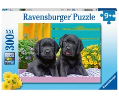 Ravensburger Dėlionė 300 vnt. - Maži lambradorai