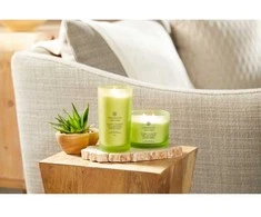 Chesapeake Bay Candle 3 dagčių žvakė –Awaken &amp; Invigorate (Lemongrass Eucalyptus)