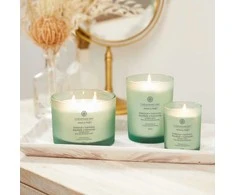 Chesapeake Bay Candle 3 dagčių žvakė – Balance &amp; Harmony (Waterlily Pear)