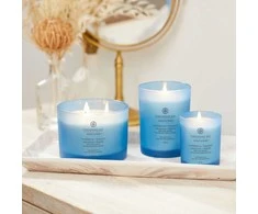 Chesapeake Bay Candle 3 dagčių žvakė – Confidence &amp; Freedom (Oak Moss Amber)