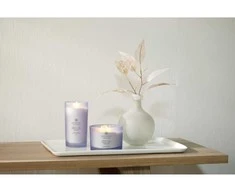 Chesapeake Bay Candle 3 dagčių žvakė – Joy &amp; Laughter (Cranberry Dahlia)