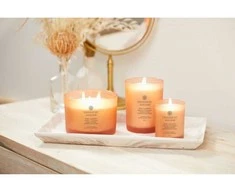 Chesapeake Bay Candle 3 dagčių žvakė – Love &amp; Passion (Grapefruit Mango)