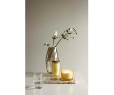 Chesapeake Bay Candle 3 dagčių žvakė – Strength &amp; Energy (Pineapple Coconut)