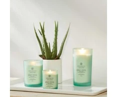 Chesapeake Bay Candle didelė žvakė – Balance &amp; Harmony (Waterlily Pear)