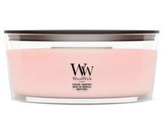 Woodwick Coastal Sunberry
