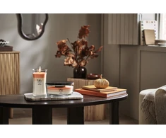 WoodWick Trilogy Hearth Spice 610 g