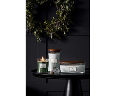 WoodWick Aromatinė žvakė (Magnolia Birch), 453,6 g
