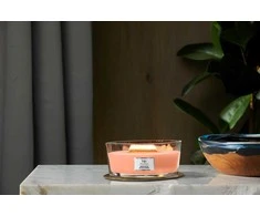 WoodWick Aromatinė žvakė (Manuka Nectar), 453,6 g