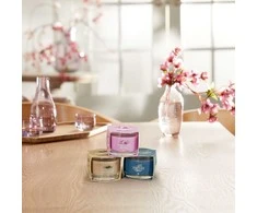 Yankee Candle Bayside kedro kvapioji žvakė, 37 g