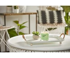 Yankee Candle Aromatinė žvakė Signature glass medium Vanilla Lime 368 g