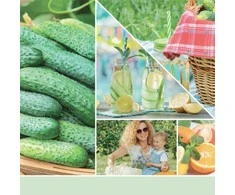 Yankee Candle Aromatinė žvakė Signature glass medium Cucumber Mint Cooler 368 g