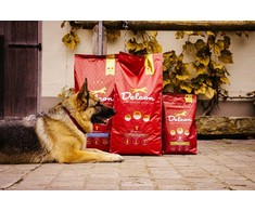 Delcon Visavertis pašaras suaugusiems šunims REGULAR PLUS su žuvimi / 12 kg