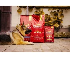 Visavertis pašaras suaugusiems šunims REGULAR PLUS su ėriena / 3kg