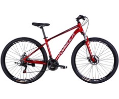 Bicycle AL 29" Formula MOTION DD FR frame-17" red+sidabrinis 2025