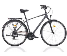 City bike TopVelo BROSTER MAVINE L (Wheel size: 700C, Frame size: 51cm) Juodas glossy
