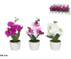 Dirbtinės orchidėjos vazone – 19 cm, 9x9x19 cm, LITO