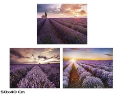 Grūdinto stiklo paveikslas, 3 dizainai, 0,30 × 50,00 × 40,00 cm, Decorlife