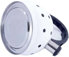 Kamille Riposo Nerūdijančio plieno virdulys 1 L, R-1070WH