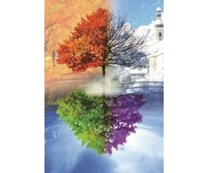RAINBOW Deimantinio paveikslo-mozaikos 5D rinkinys (akučių klijavimas) 30x40 cm DK41036